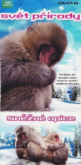 Sněžné opice 						 (S27E12)