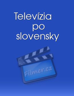 Televízia po slovensky