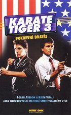 Karate tiger 3: Pokrevní bratři