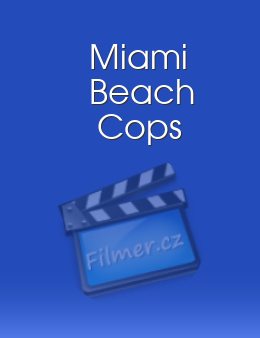 Miami Beach Cops