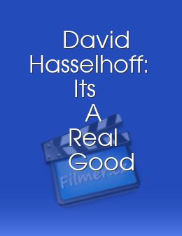 David Hasselhoff Its A Real Good Feeling