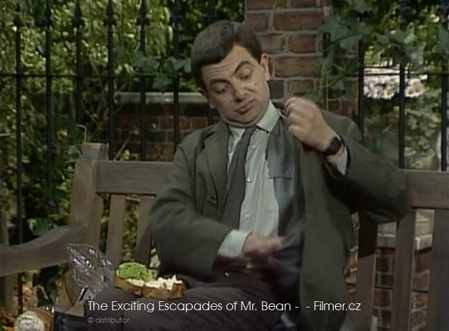 The Exciting Escapades of Mr Bean - Rowan Atkinson