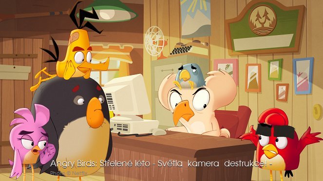 Angry Birds Střelené léto - Světla  kamera  destrukce! -