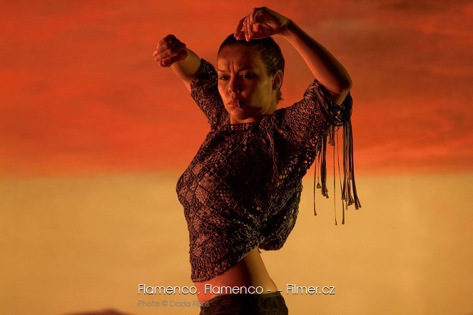 Flamenco Flamenco -  - Filmer.cz